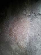 castlepark gate - 10885.jpg